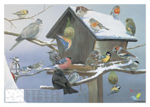 Poster - Wintervogelfütterung (gratis im Shop Natur erhältlich)