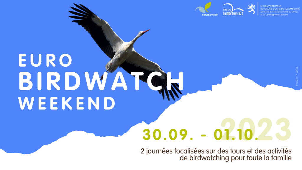 Birdwatch Weekend 2023_Poster